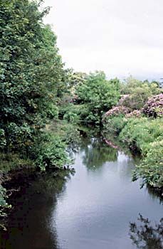 The River at Eglinton Park